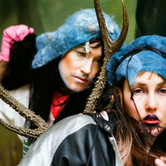 Cocorosie - Animals (Live @ Kexp)