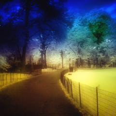 Dreamscape Remix