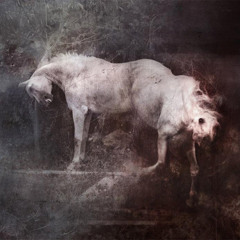 Winter Dies-PD v NDE