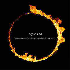 Bradberry Orchestra - Physical