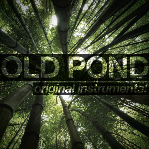Old Pond [Original Acoustic Instrumental]
