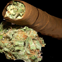 Blunt to my lips