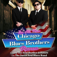 6345789 - Chicago Blues Brothers