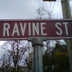 DaKryTic- Ravine St