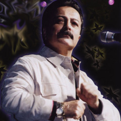 Shahrokh - Faryad (Live in Concert at Cabaret Tehran)
