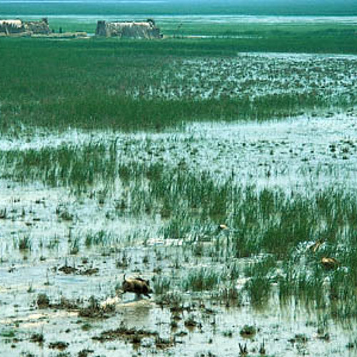 Tigris and Euphrates