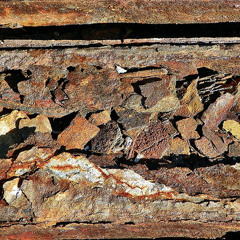 Doctor Pez + Lactosa - "Oxido de riel (tren)"