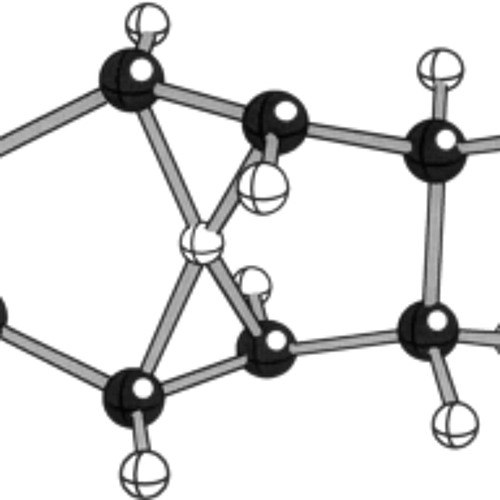Hongoobrero