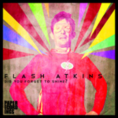 Did You Forget To Shine/ Flash Atkins (Hot Toddy Mix)