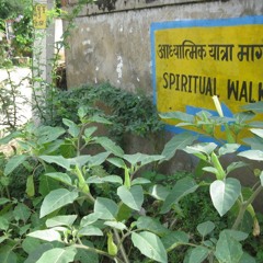 composicion guitarra