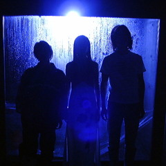 Stain/belly to belly