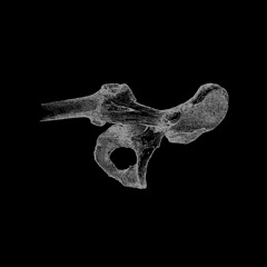 Borealis - To Hear Her Burial (Ghostek Remix)