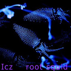 icz (mifi) - rootsquid