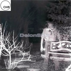 DelonSide - Profound Pain