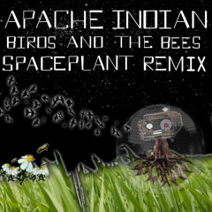 Apache Indian - Birds and Bees (SpacePlant Remix)