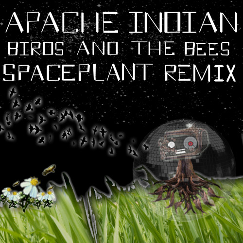 Apache Indian - Birds and Bees (SpacePlant Remix)