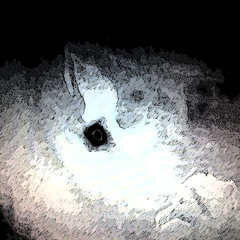 Afrika oma.ga.ia promo