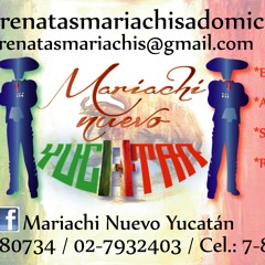 el son de la negra la hija del mariachi