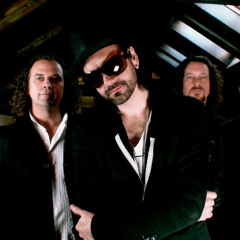 I Will Survive -  Jungle Boogie