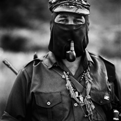 Los Cojolites - Luna negra