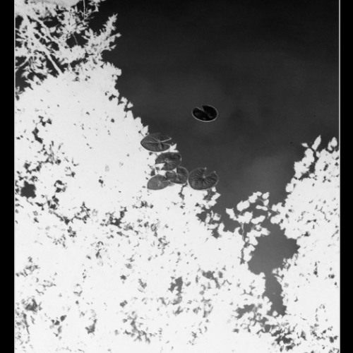 Soft Kill - Past Life