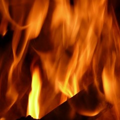 Architecture of Aggression - Conjectures