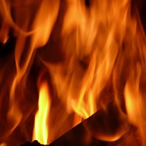 Architecture of Aggression - Conjectures