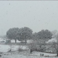 El invierno de Vivaldi