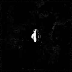 Tismé - Donne moi + MTCBeat ft Cap's (2010) [prod. Tismé/Cap's]