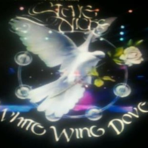 "Sara" - Stevie Nicks (live1982)