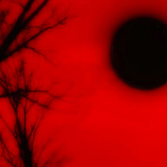 Shoemansky - Red Sky Black Sun
