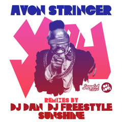 Avon Stringer - You (DJ Dan remix)