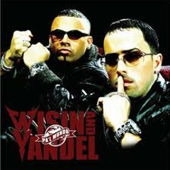 Pegao - Wisin & Yandel ( Extended Nashosky'Dj)
