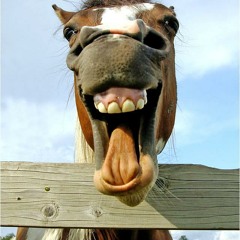 Altar do Sacrificio - 01