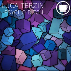 Luca Terzini - Psycho Bitch (Original Mix)
