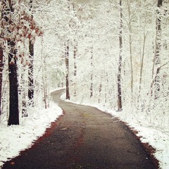 Ali Lohrasbi - Khodahafez Bache