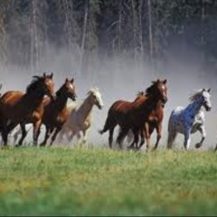 Run Safe (feat. Lisa VonH) 2013