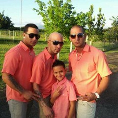 el pollito pio original de kchimbo