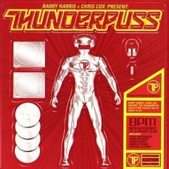 Thunderpuss Megamix Part 1 - DJ Trypsin 2003