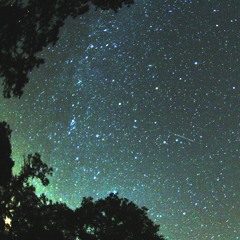 The Amygdala - Perseids