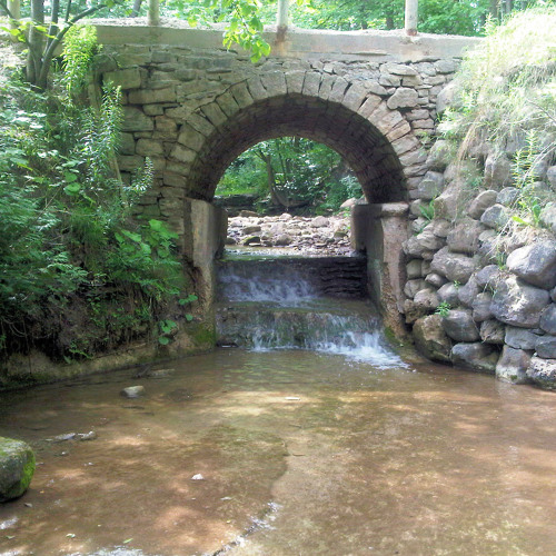 The North Country Streams