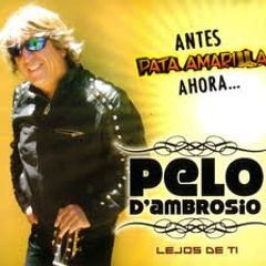 Lejos de ti - Pelo D' Ambrosio ( Pata Amarilla )