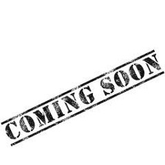 Dj Steveee C Heat from the Mpc vol 3 Do you know what time it is now