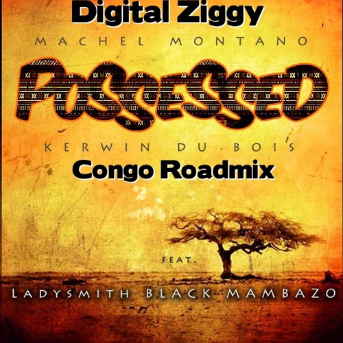 Digital Ziggy - Possessed Congo Roadmix