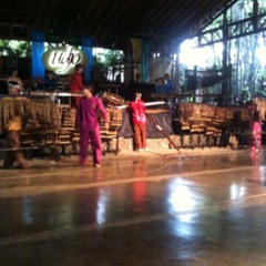 Burung kaka tua angklung