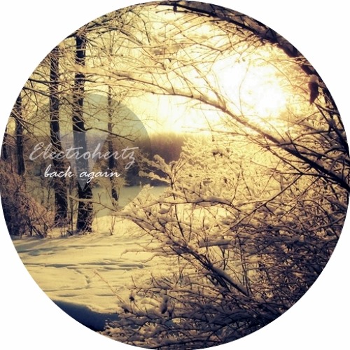Electrohertz~ - Back Again