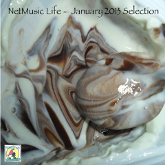 NetMusic Life - January 2013 Selection