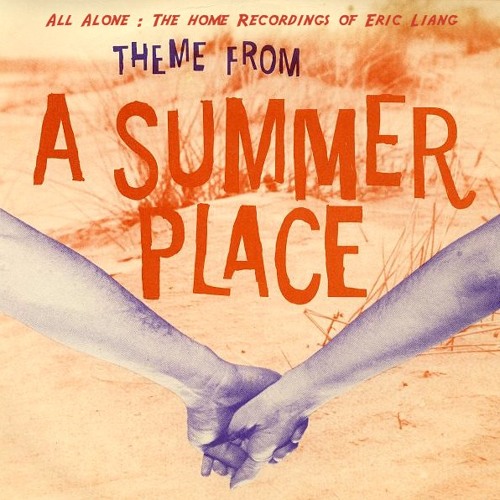 Theme From A Summer Place
