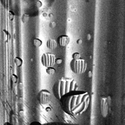 Bioschismic