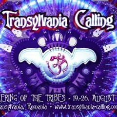 DJ & Live Mixes of Confirmed Artists @ Transylvania Calling 2013